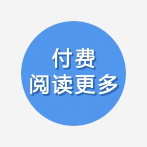 付费阅读更多