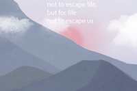 b155f7bac46f8d6901adb56a7a6fec6e.png