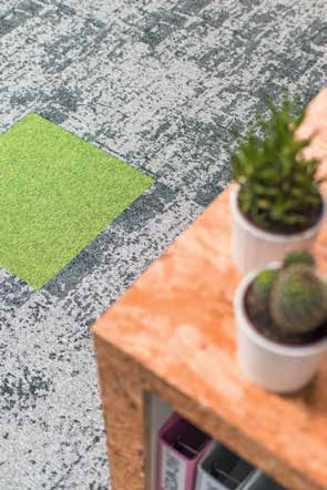 brochure_macro_micro-canopytobark_ld(3)