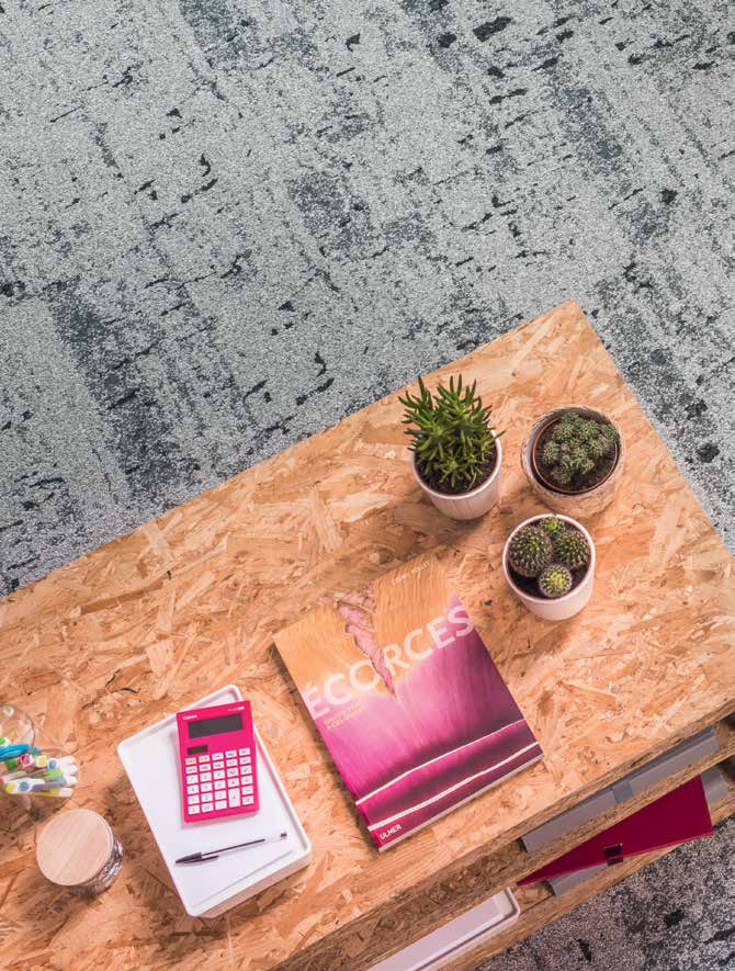 brochure_macro_micro-canopytobark_ld(7)