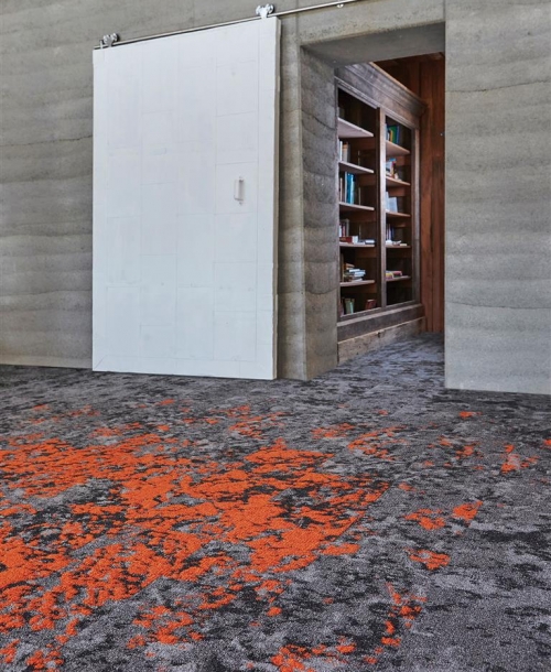 Lichen_Micro_Macro_957_Groundcover_949 (Large)