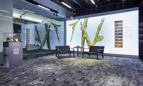 Showroom-Lichen-2 (Large)