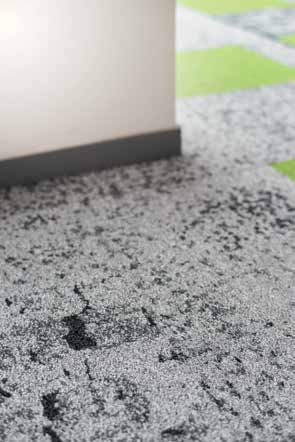 brochure_macro_micro-canopytobark_ld(4)