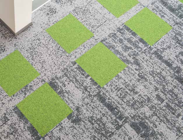 brochure_macro_micro-canopytobark_ld(6)