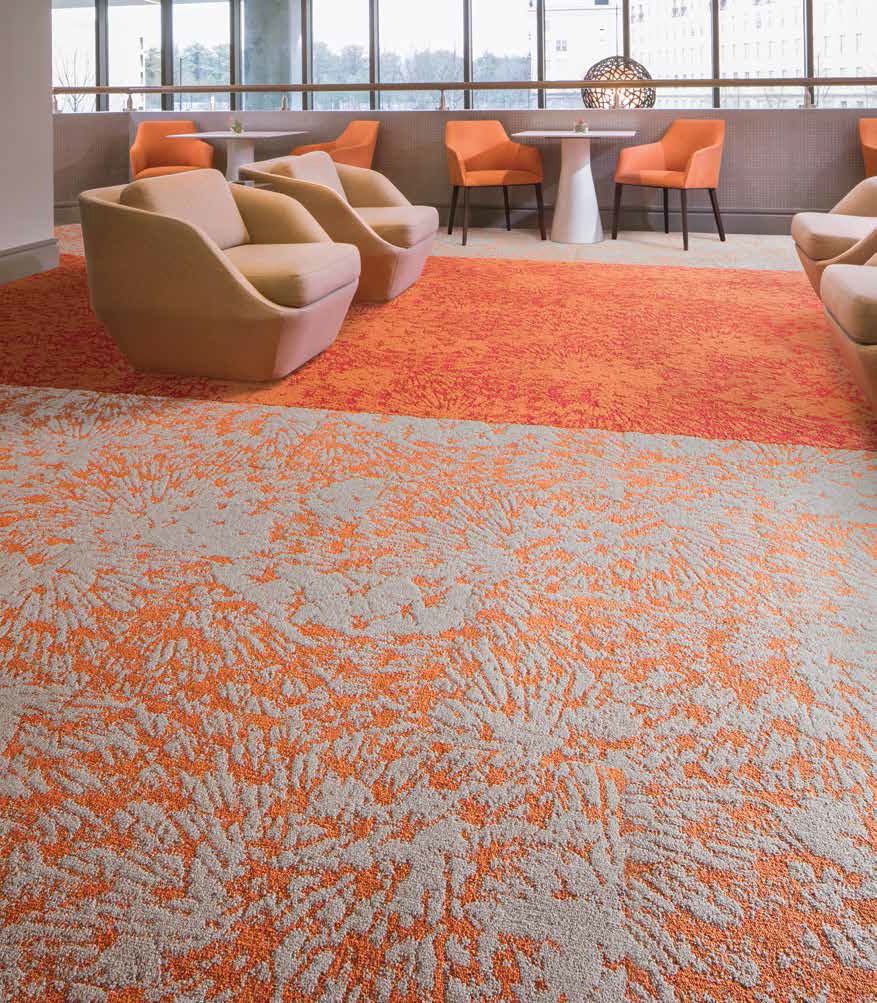 Intrinsic Carpet Collection Brochure-7