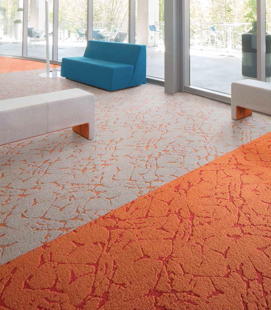 Intrinsic Carpet Collection Brochure-5