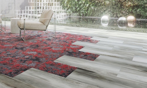 Lichen_Macro_963 (Large)