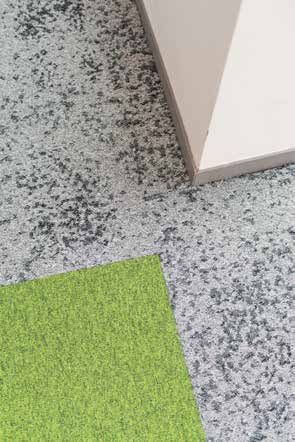 brochure_macro_micro-canopytobark_ld(1)