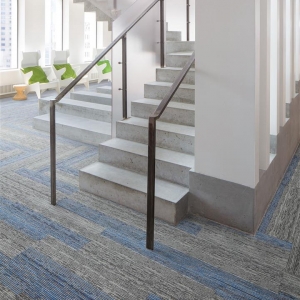 Seismic Wave-978-va plank-cp33 (2) (Large)