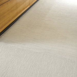 72_dpi_4A9J_CloseUp_carpet_PRADO_RIALTO_605_BEIGE_2