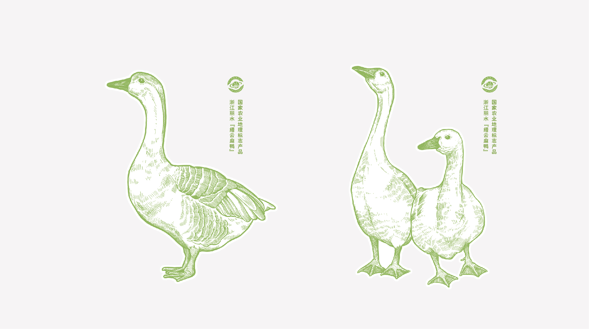 陳江波老鴨煲品牌策劃設計-餐飲vi設計-杭州達岸品牌策劃設計公司